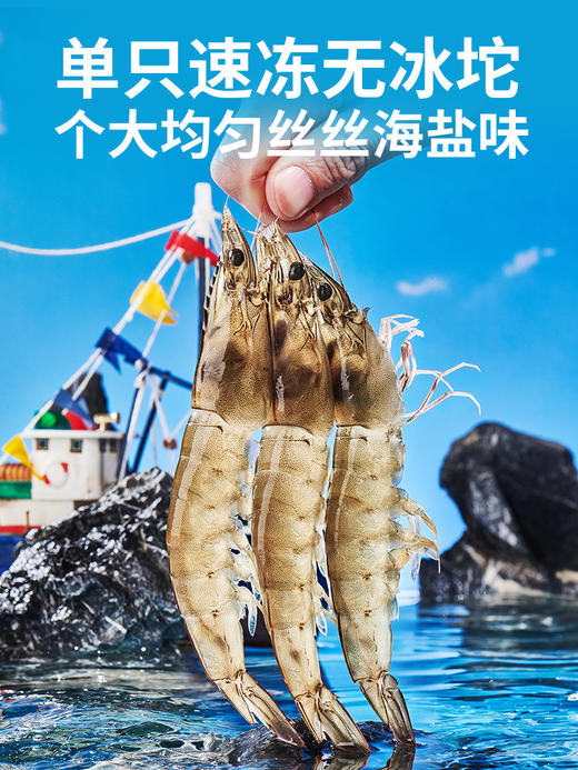 王牌盐冻大号白虾40/50  1.5kg 商品图3