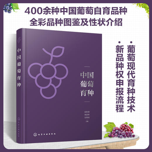中国葡萄育种 商品图0