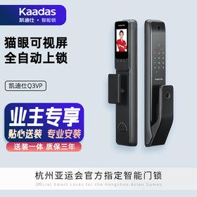 【美居】凯迪仕（KAADAS）智能门锁 智能锁 指纹锁 电子锁 家用可视猫眼内屏密码锁 Q3 VP星空黑
