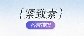 深蓝档案 | “紧致素”一篇全解！