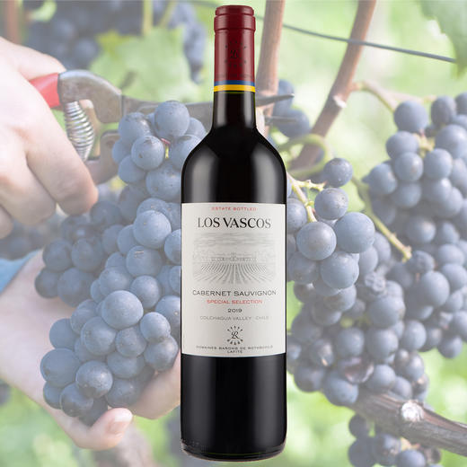 智利巴斯克精选红葡萄酒750ml 商品图3