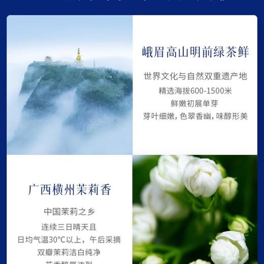 竹叶青碧潭飘雪(论道）108g  茶叶礼盒  茉莉花茶 商品图2