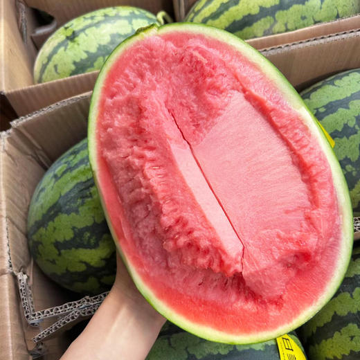 【甜蜜多汁】甘美冰糖麒麟瓜  约3.7kg/个（到店选果超重部分补差价） 商品图0