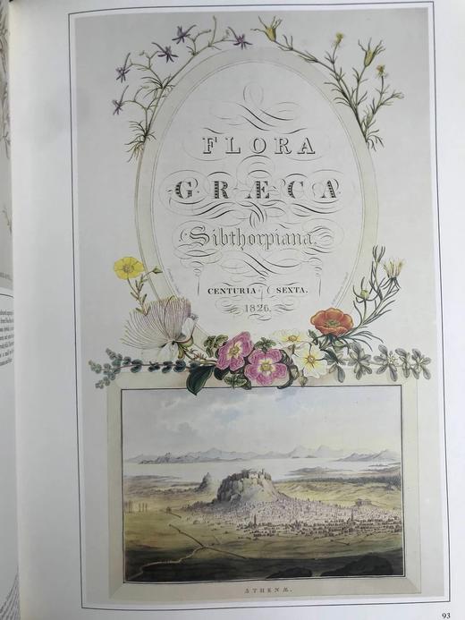 植物世界的艺术 64幅彩色250幅黑白插图 精装大16开 商品图12