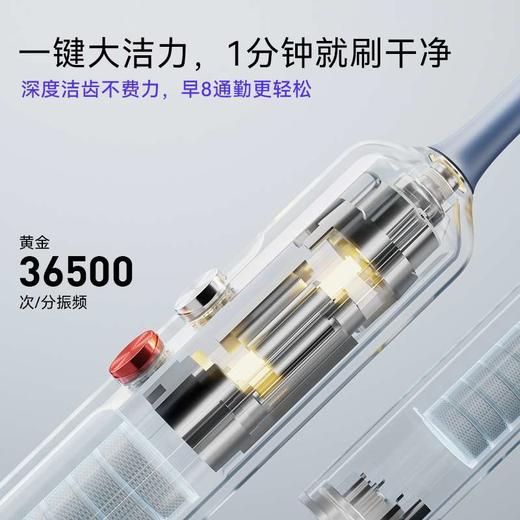 力博得声波牙刷 大洁力 商品图10