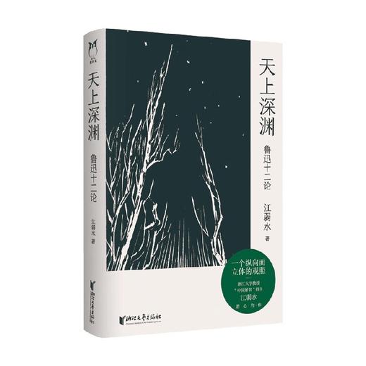 天上深渊 鲁迅十二论 江弱水 著 文学 商品图4