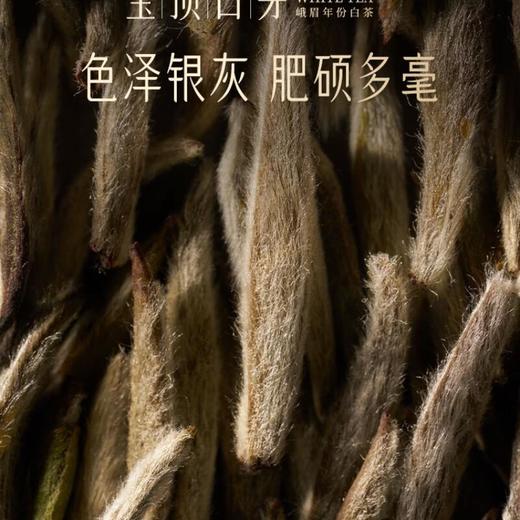 竹叶青宝顶白芽一级105g  茶叶礼盒 商品图2