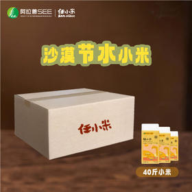 2025年新谷新米小米粮食多种规格现货