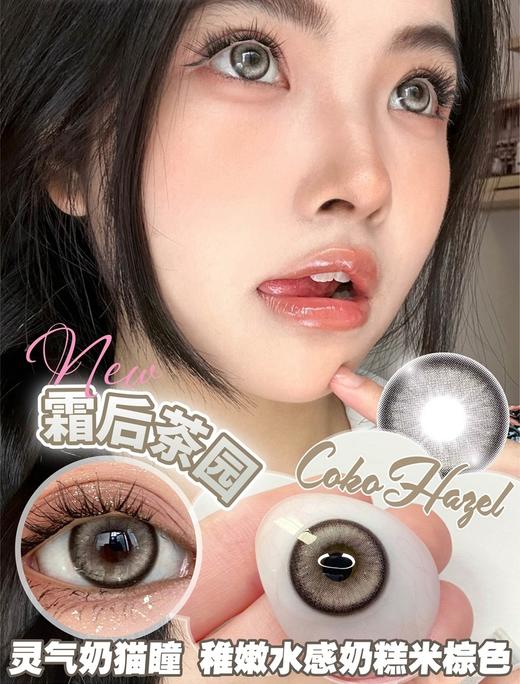Coko Hazel 霜后花园【年抛】 商品图0