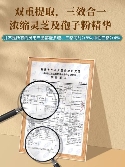 仙芝楼康爱芝宝灵芝孢子粉胶囊 粉剂  对辐射危害有辅助保护功能、对化学性肝损伤有辅助保护功能、增强体质 商品图3