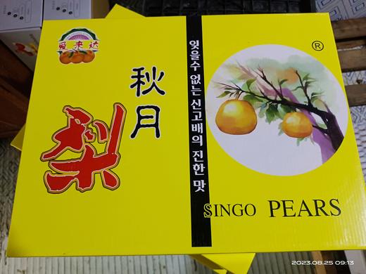 秋月梨礼盒8个装 7斤左右 商品图4