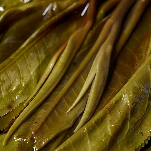 【滕王阁】还原易武号级茶配方1:1还原易武古六大茶区2019年原料神兽事业部老大亲调亲制重铸号级茶荣光 商品图7