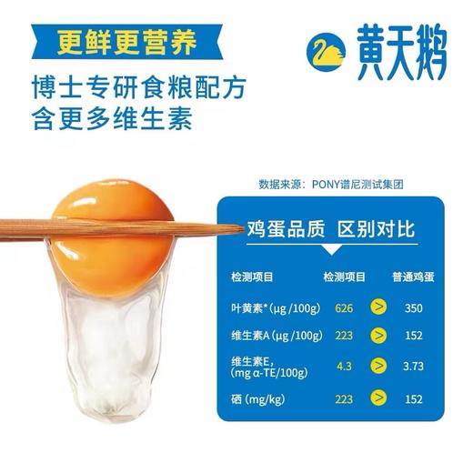 黄天鹅可生食鸡蛋20枚/盒 商品图5