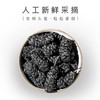 【干净无沙，肉厚饱满！宁安堡桑葚干】黑桑葚新疆吐鲁番新鲜桑葚果干200g女人的秘密花园健康 商品缩略图1