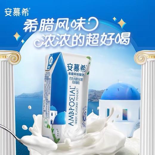 伊利安幕希希腊风味酸奶(原味)205g 商品图0