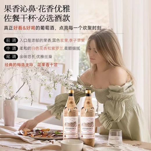 菲特瓦【葡萄酒指南98分！】法国原瓶进口红酒超级波尔多AOC干红葡萄酒 【24月窖藏】麻布款 6支木盒 商品图2