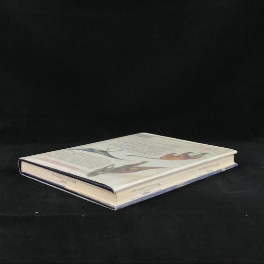 恐龙与史前动物图解百科全书 约千幅彩色插图 精装大16开 商品图2