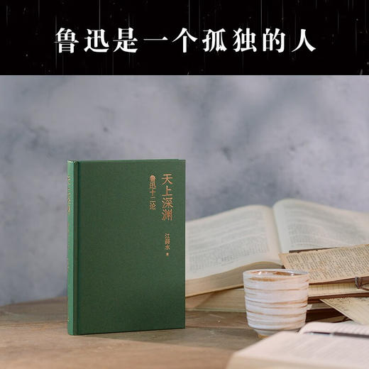 天上深渊 鲁迅十二论 江弱水 著 文学 商品图3