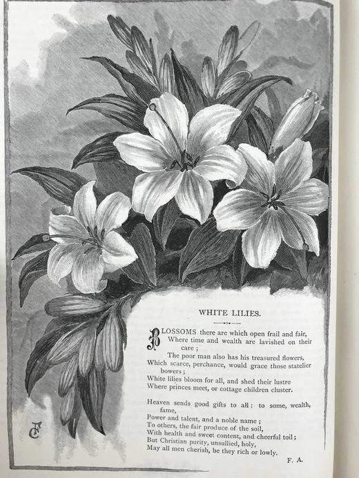 1886年 卡塞尔家庭杂志 数百幅插图 真皮精装16开 商品图10