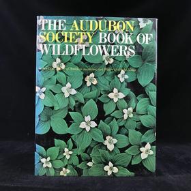 奥杜邦协会野花之书 数百幅彩色插图 精装大16开