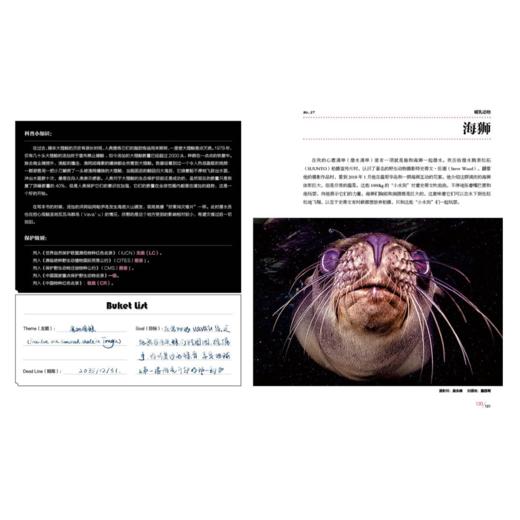 （5折包邮）眼界之外:海洋 一探瑰丽的海底世界超越眼界之外海底世界旅行科技 商品图2