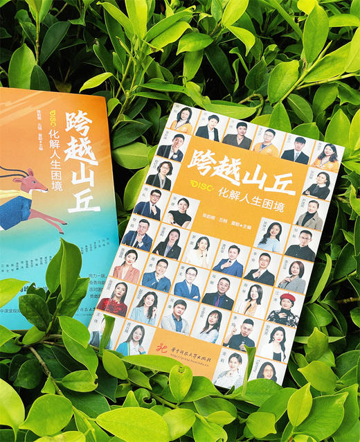 跨越山丘：化解人生困境  9787568097871  华中科技大学出版社 商品图4