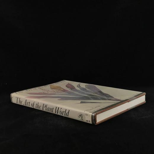 植物世界的艺术 64幅彩色250幅黑白插图 精装大16开 商品图1