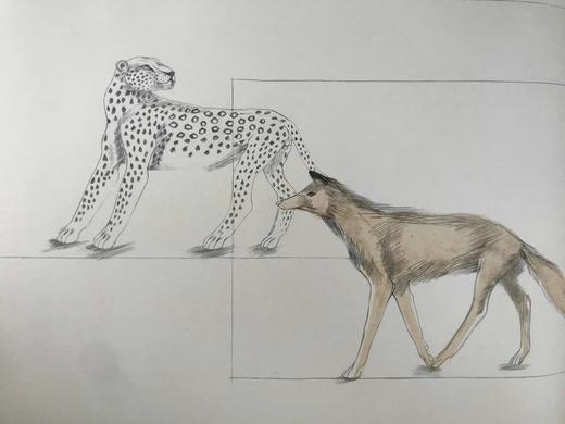 限量250册伊莉莎伯·弗林克女爵士签名特装本！1968年 伊索寓言 现代石版画插图 全真皮精装8开 商品图13