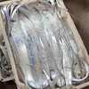 舟山冰鲜带鱼整条 250-300g/条 商品缩略图2
