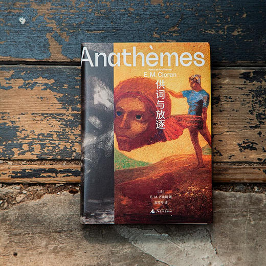 供词与放逐 E.M.齐奥朗 著 哲学 商品图3