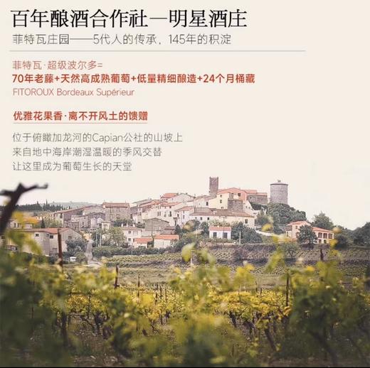 菲特瓦【葡萄酒指南98分！】法国原瓶进口红酒超级波尔多AOC干红葡萄酒 【24月窖藏】麻布款 6支木盒 商品图4