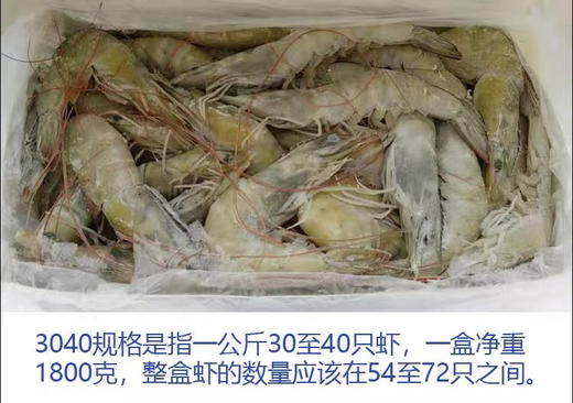 厄瓜多尔进口深海捕捞白虾，个个巴掌大，鲜活捕捞 急速锁鲜口感原汁原味，虾肉肥硕鲜嫩，吃得出的新鲜
规格：30-40，1.8公斤/盒 商品图6