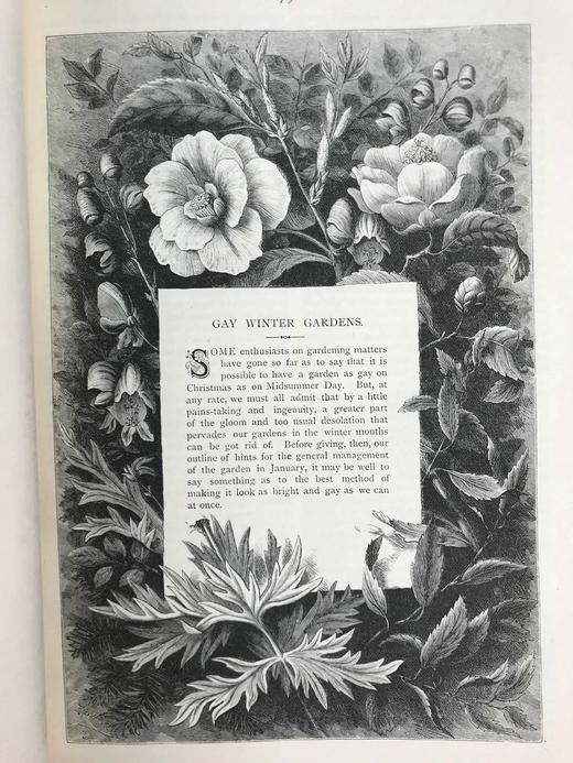 1886年 卡塞尔家庭杂志 数百幅插图 真皮精装16开 商品图6