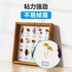 DSB（迪士比）2400枚29×20mm标签纸贴纸不干胶便利贴口取纸自粘易撕办公用品记号贴便签纸4623红色