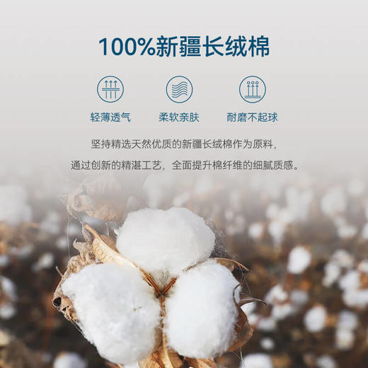 十如仕免烫条纹府绸正装 长袖衬衫301 商品图9