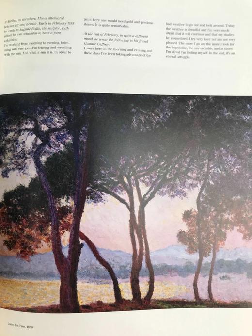 莫奈画集 365幅插图（125幅彩色） 精装大16开 商品图13