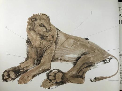 限量250册伊莉莎伯·弗林克女爵士签名特装本！1968年 伊索寓言 现代石版画插图 全真皮精装8开 商品图9