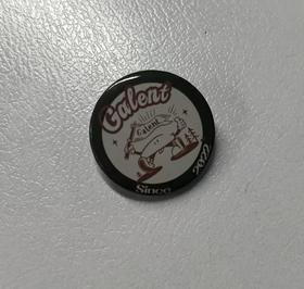 极蓝胸针（之江市集用赠品）