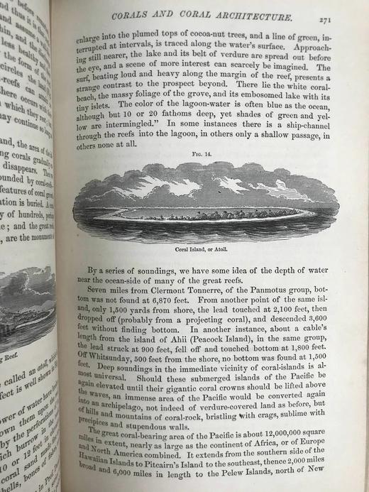 1872年5月-10月 大众科学月刊 数十幅版画插图 真皮精装18开 商品图9