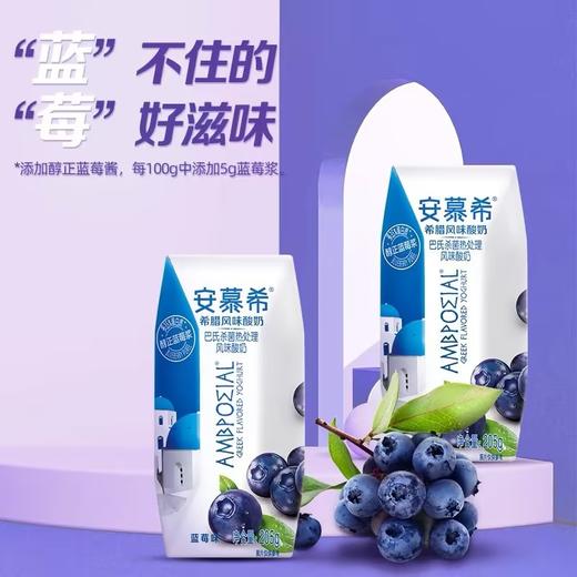 伊利安幕希希腊风味酸奶(蓝莓)205g 商品图3