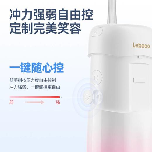 力博得 智能便携冲牙器 微shell杯 商品图2