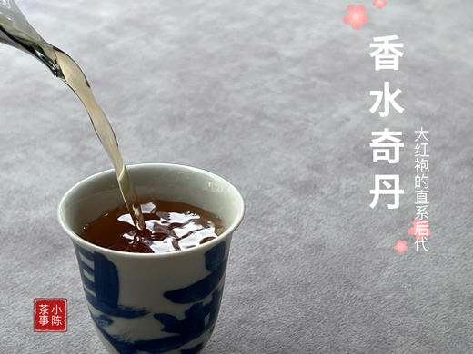 【好茶来了】一款被称为《香水》的老树奇丹，颠覆你对奇丹的认知 商品图10