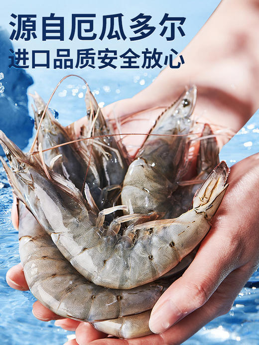 王牌盐冻大号白虾40/50  1.5kg 商品图1