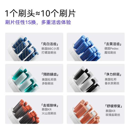 力博得声波牙刷 大洁力 商品图7