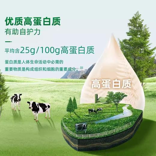 蒙牛纯牛奶粉 300g 商品图2