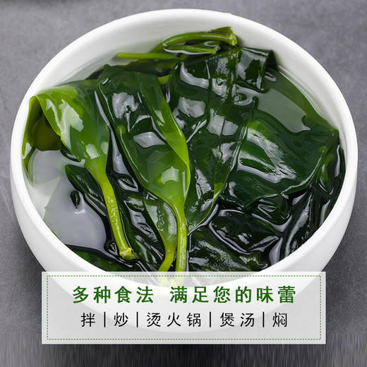 东山岛海带苗 400g/袋 鲜采嫩苗 口感脆爽 商品图13
