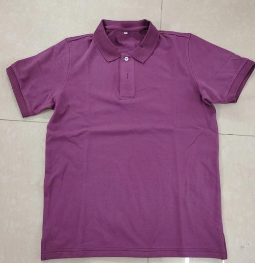 （C1-001）R紫色Polo衫 商品图0