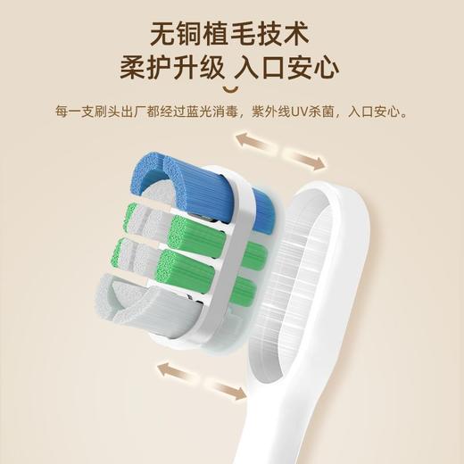 力博得声波电动牙刷 悦礼 商品图1
