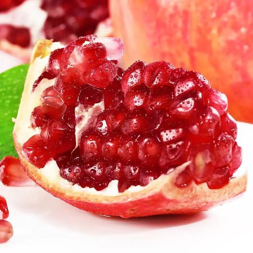 季节限定！凉山州会理突尼斯软籽石榴 超大一级果 商品图4