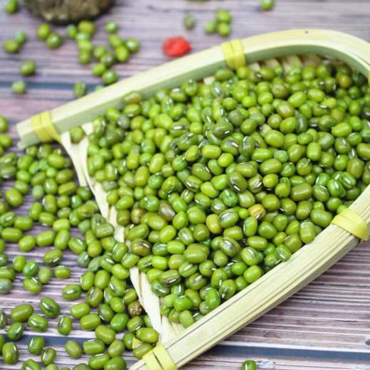 农家自种新鲜绿豆2.5kg 商品图1